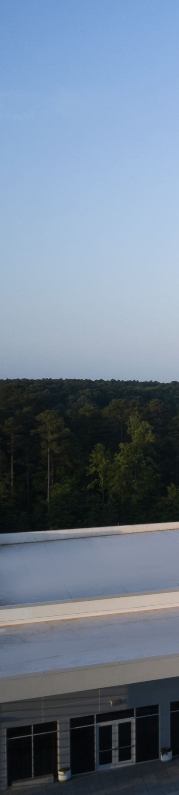 The Westin Raleigh-durham Airport Brier Creek - Raleigh