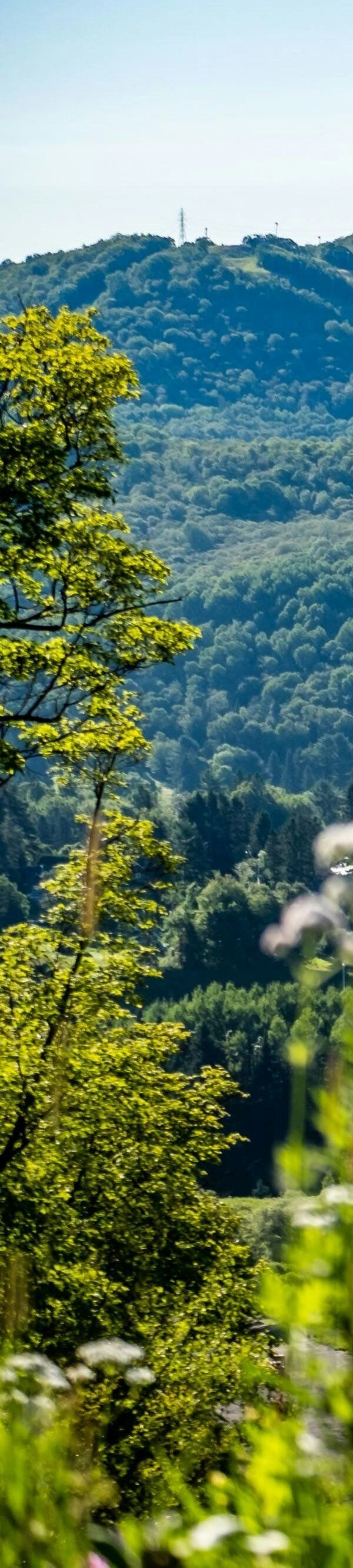 Mont Gabriel Sainte Adele A Tribute Portfolio Resort - 퀘벡
