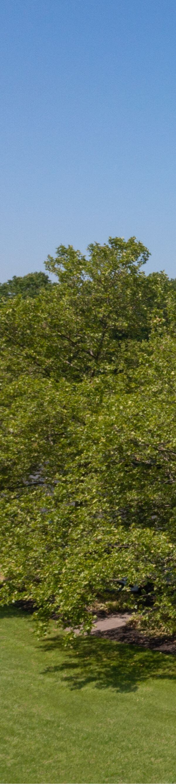 Courtyard By Marriott Edison Woodbridge - Edison, NJ