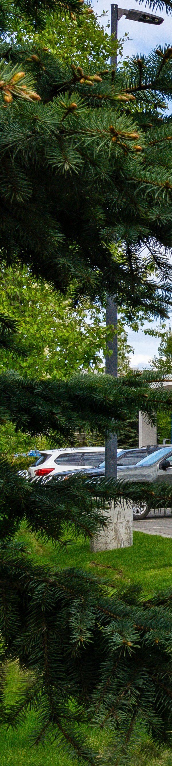 Springhill Suites By Marriott Anchorage Midtown - Anchorage