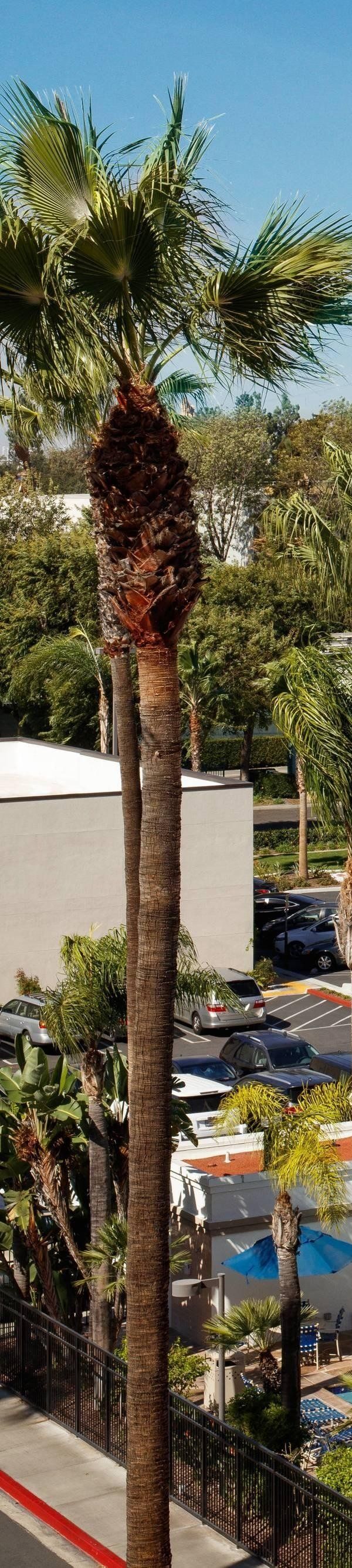 Fairfield Anaheim Resort - Irvine, CA