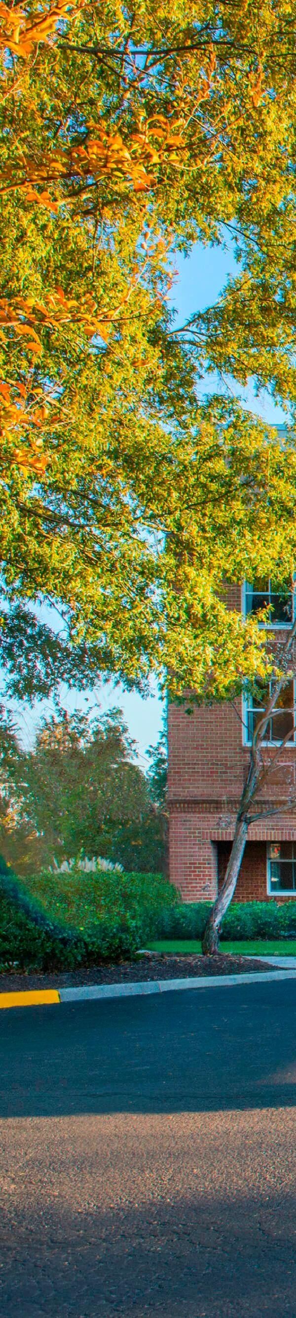 Fairfield Inn And Suites By Marriott Williamsburg - Williamsburg, VA