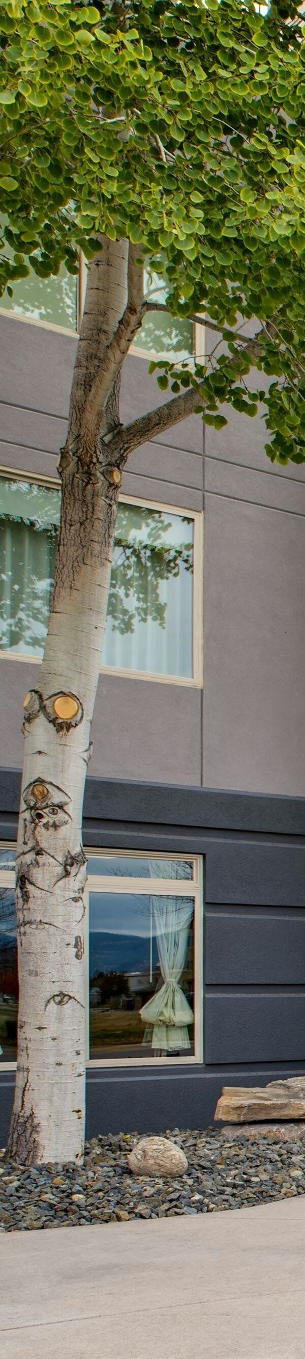 Fairfield By Marriott Inn And Suites Missoula Airport - Missoula, MT