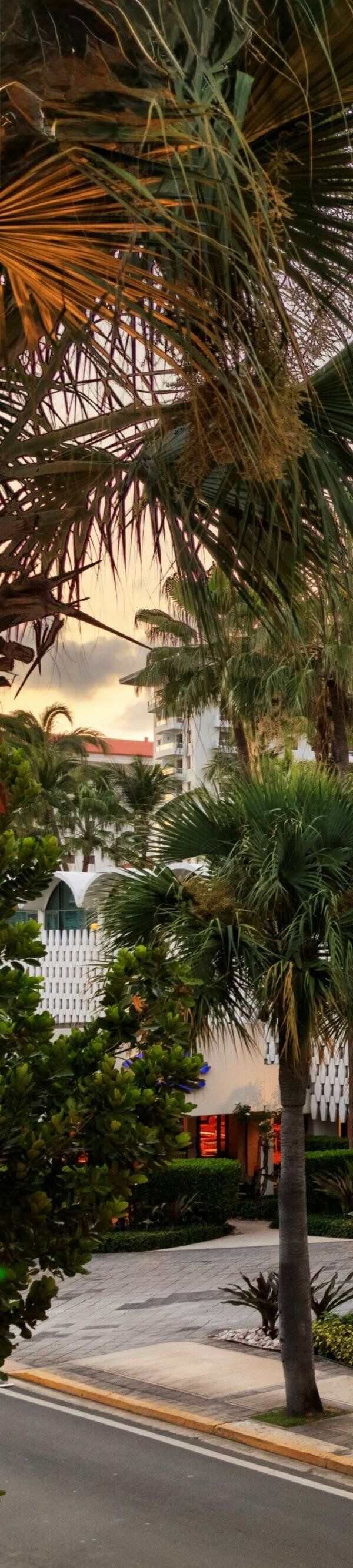La Concha Resort Puerto Rico Autograph Collection - 푸에르토리코