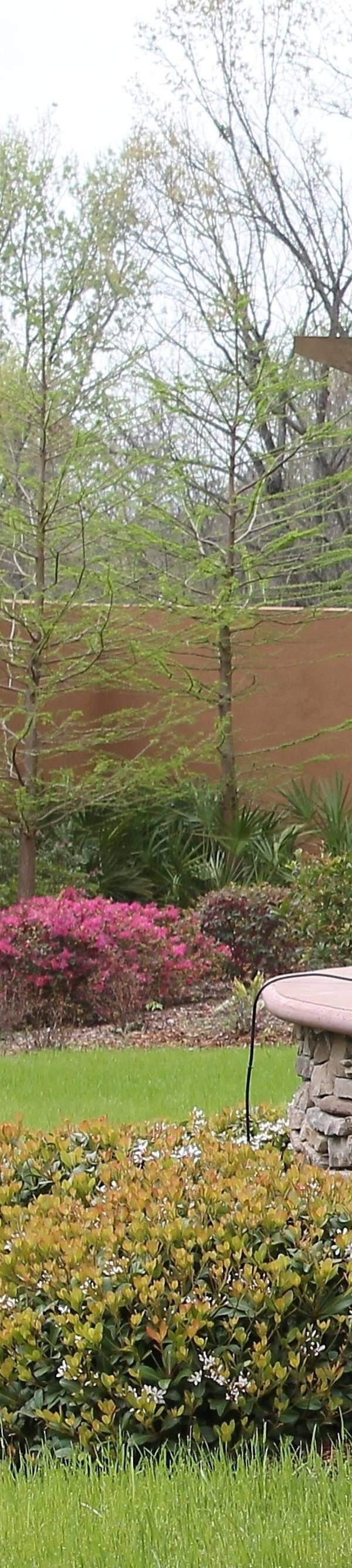 Courtyard By Marriott Vicksburg - Vicksburg, MS