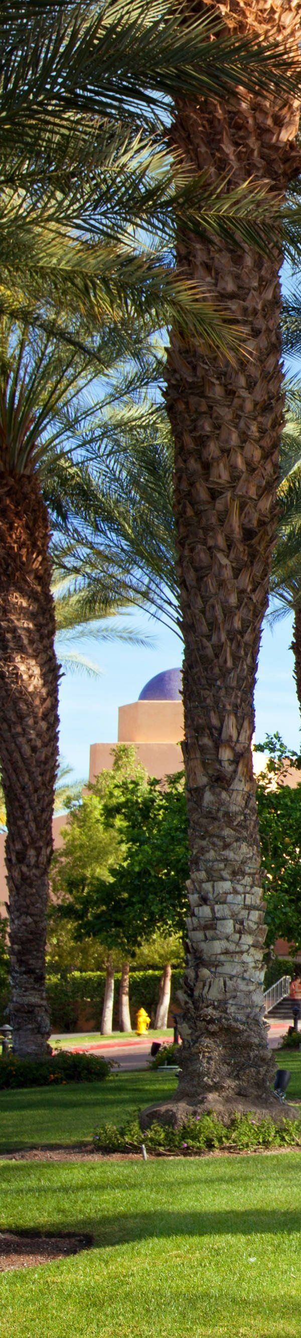The Westin Rancho Mirage Golf Resort And Spa - Palm Desert, CA
