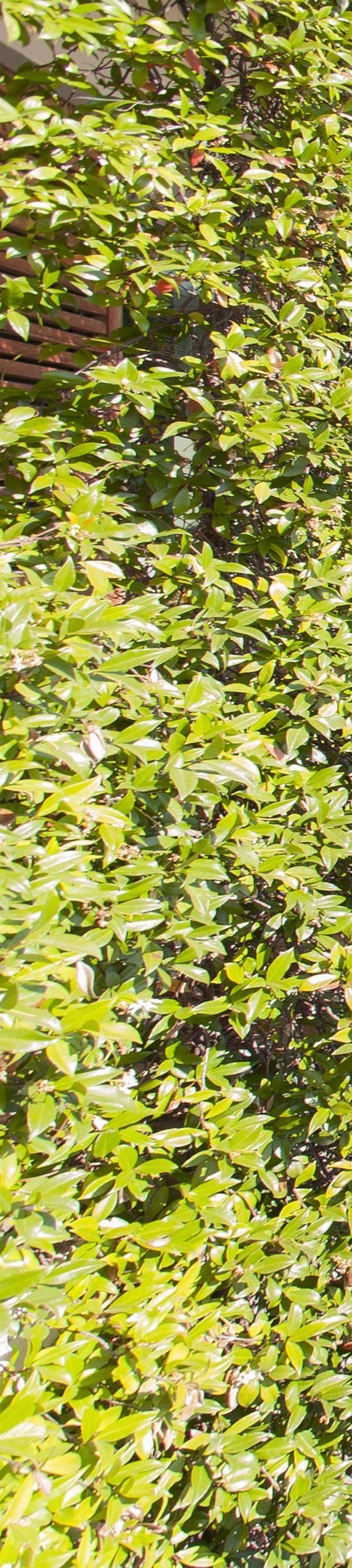 Courtyard By Marriott Montpellier - Montpellier