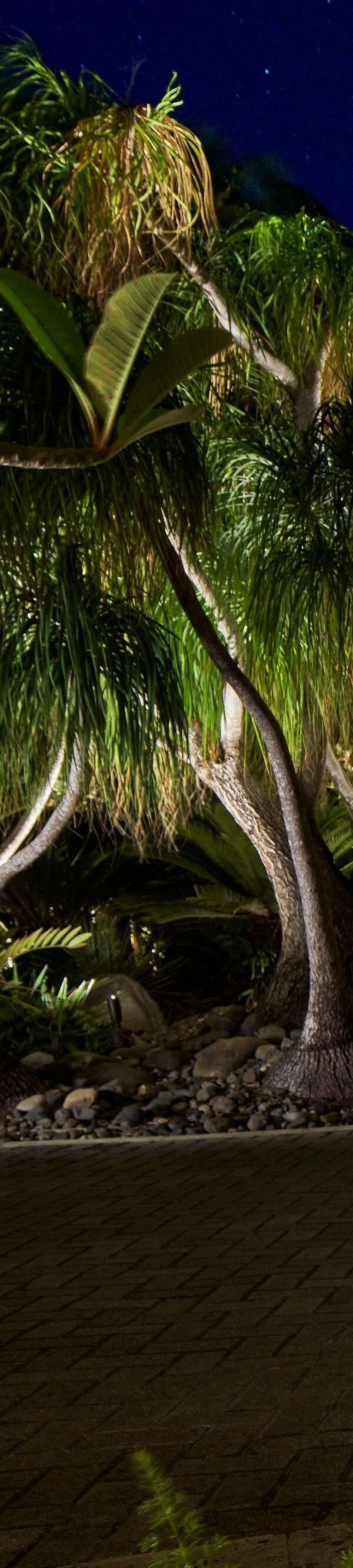 Dorado Beach A Ritz-carlton Reserve - Dorado