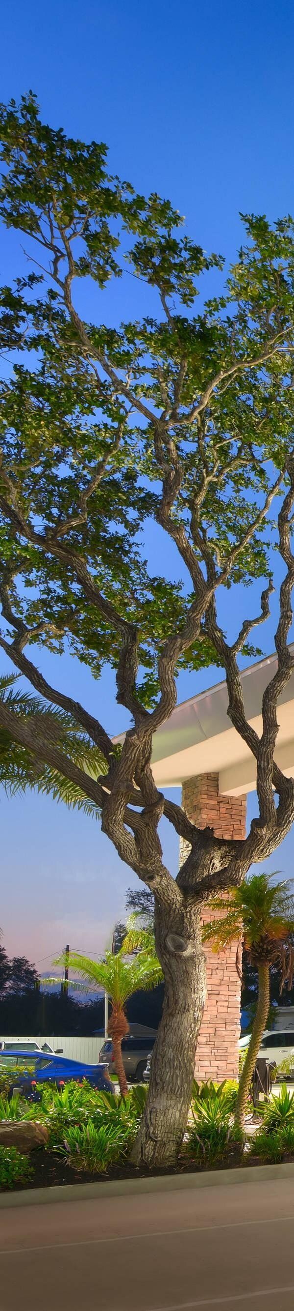 Fairfield Inn And Suites By Marriott Rockport - Rockport, TX