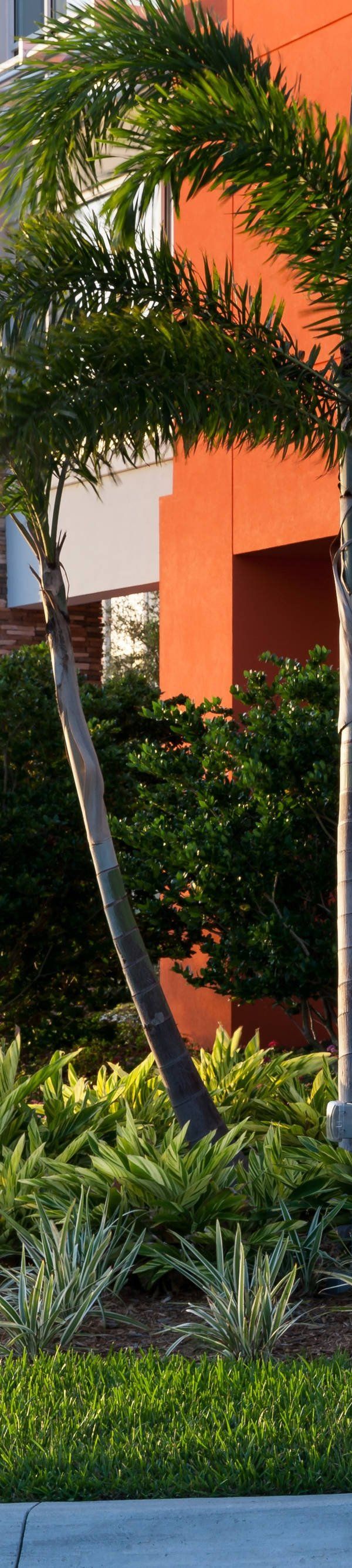 Towneplace Suites By Marriott Orlando At Seaworld - Winter Garden, FL