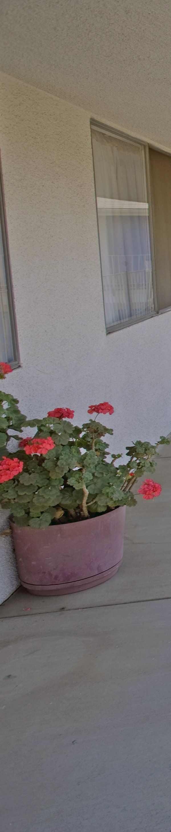Ca Americas Best Value Inn Beaumont - Yucaipa, CA
