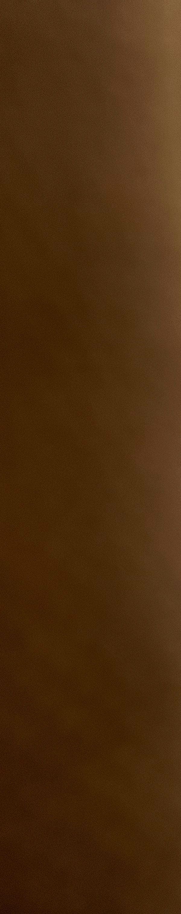Dimas Hotel Ettenheim-rust - Ringsheim