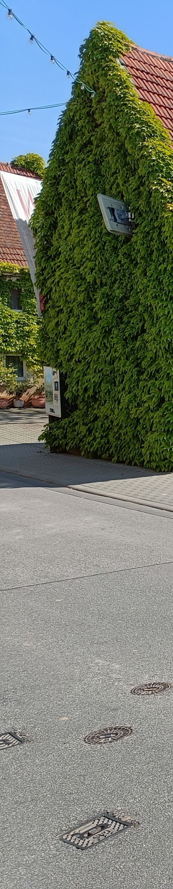 Weinhotel Wolf - Bodenheim