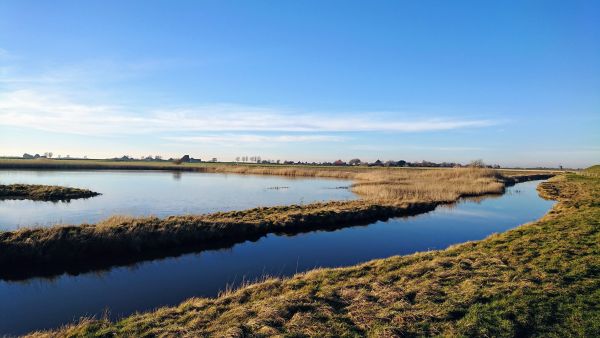 Op Oost - Texel