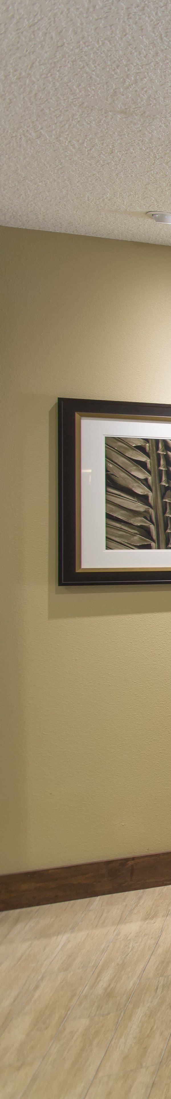 Staybridge Suites Orlando At Seaworld By Ihg - Orlando
