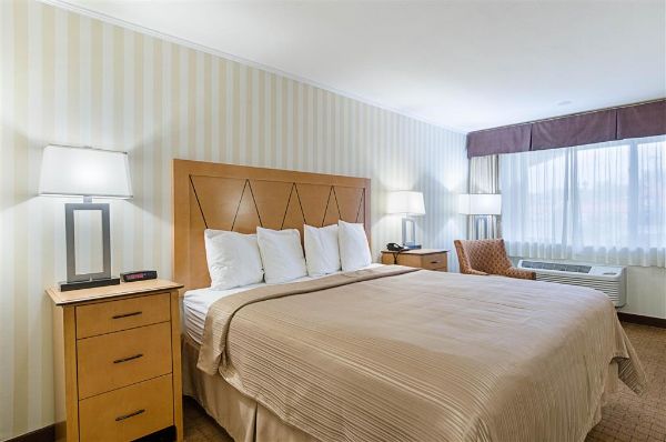 Quality Inn & Suites Northampton- Amherst - Northampton, MA