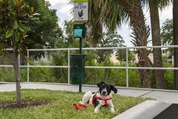 Home2 Suites By Hilton Tampa Westshore Airport - Tampa, FL
