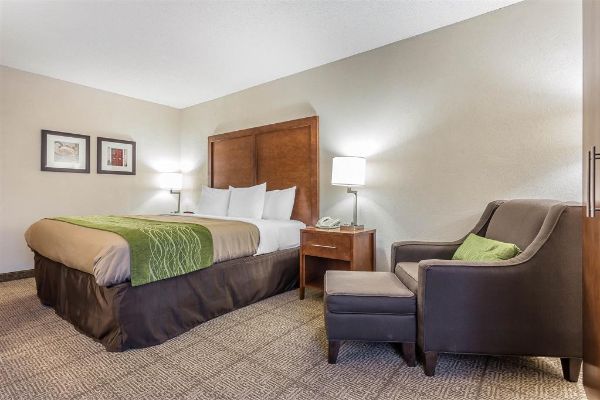 Quality Inn Summerville-charleston - Moncks Corner, SC