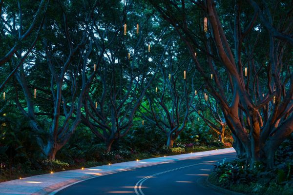 Wailea Beach Resort - Marriott Maui - Maui