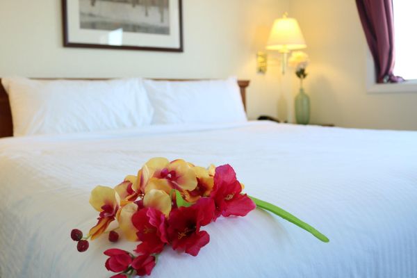 Nomad Hotel And Suites - フォート・マクマレー