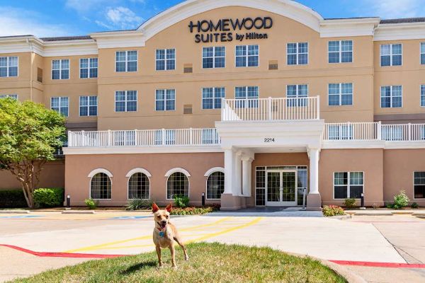Homewood Suites By Hilton Dallas-dfw Airport N-grapevine - Grapevine, TX