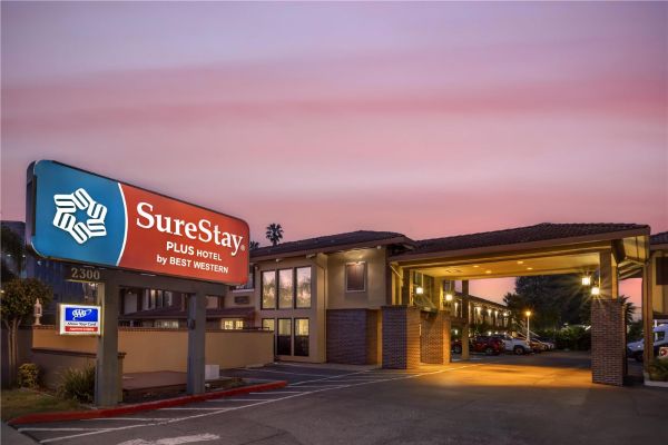 Surestay Plus By Best Western Mountain View - Los Altos, CA