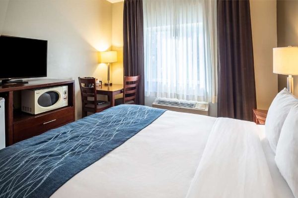 Comfort Inn Lacey - Olympia - Olympia, WA