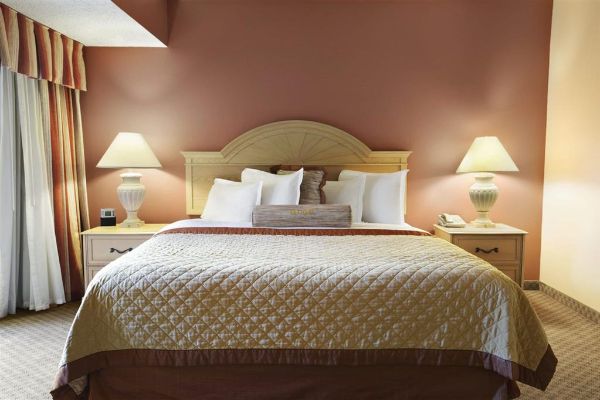 Wyndham El Paso Airport Hotel And Water Park - El Paso, TX