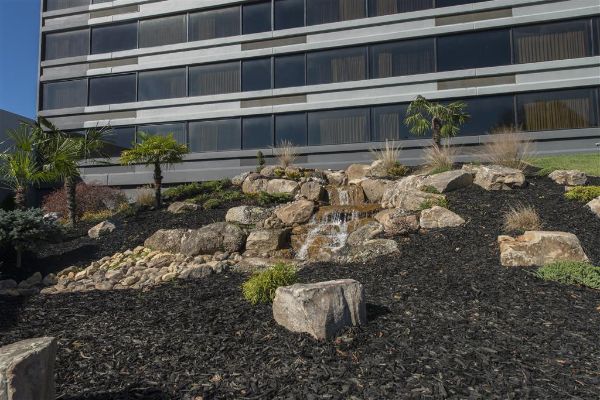 Doubletree By Hilton Winston Salem - University - Winston-Salem, NC