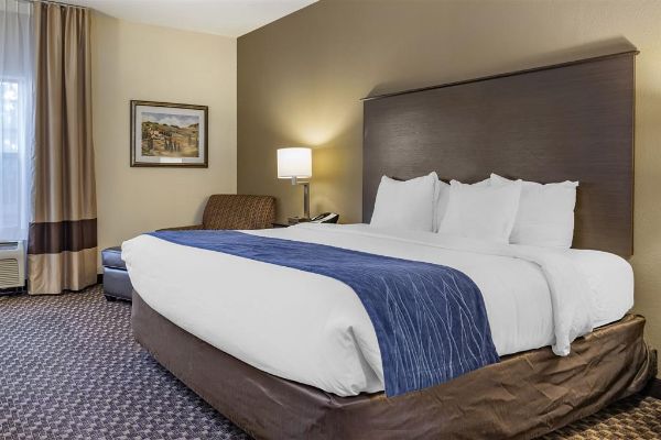 Comfort Inn Wings Stadium - Kalamazoo