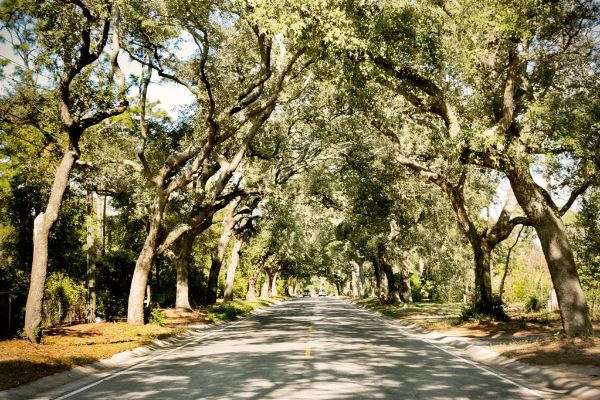 Hampton Inn Pensacola-airport (Cordova Mall Area) - Pensacola, FL