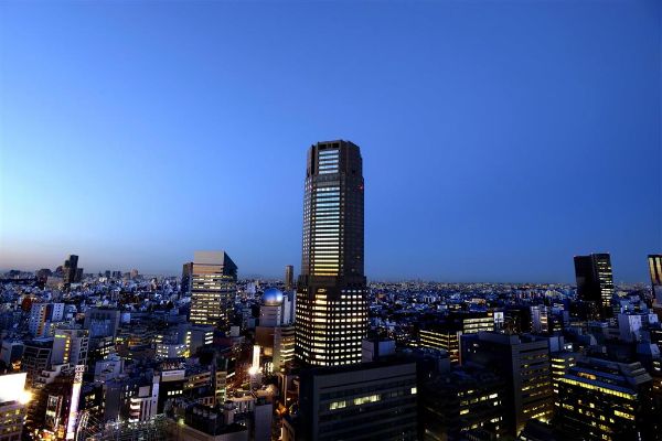 Cerulean Tower Tokyu Hotel - Tokyo