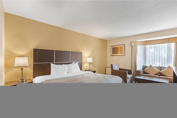 Quality Inn & Suites - Brampton