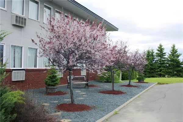 Ramada By Wyndham Florenceville - Fredericton