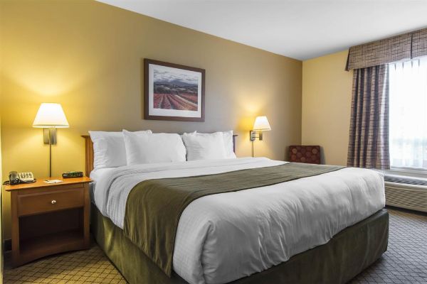 Quality Inn Airport - Moncton