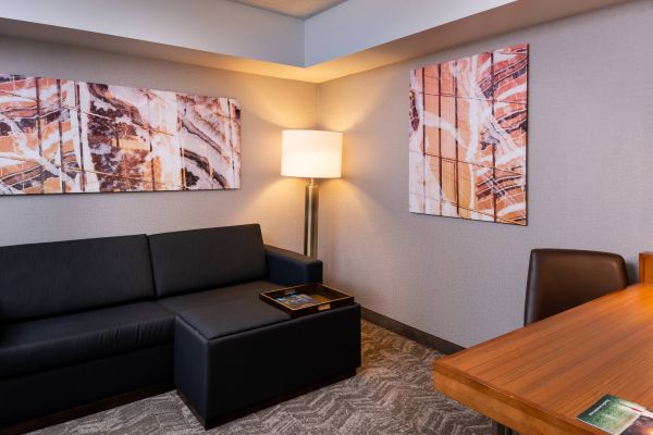 Springhill Suites By Marriott Pittsburgh North Shore - Pittsburgh, PA