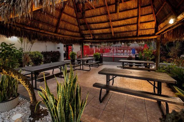 Super 8 By Wyndham Florida City/gateway To Keys/everglades - Florida City, FL