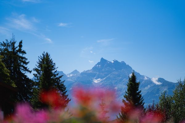 Chalet Royalp Hotel And Spa - Villars-sur-Ollon