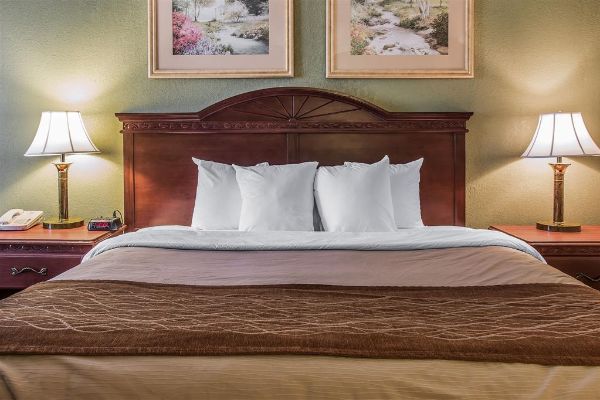 Quality Inn & Suites Ann Arbor Hwy 23 - Ann Arbor, MI