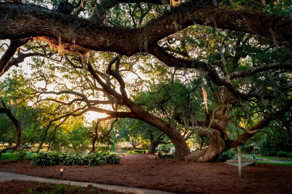 Grand Hotel Golf Resort And Spa Autograph Collection - Alabama