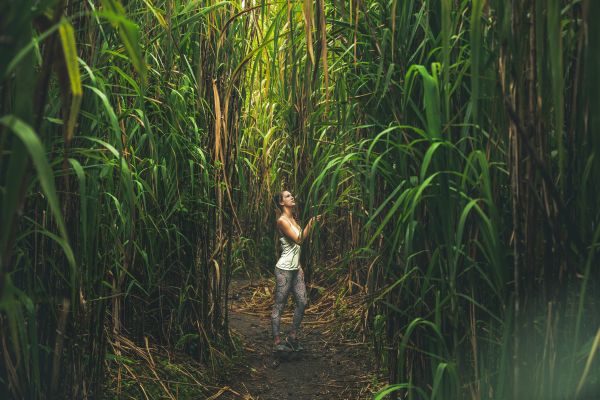 Nayara Gardens - La Fortuna