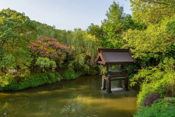 Sheraton Grand Hangzhou Wetland Park Resort - Hangzhou