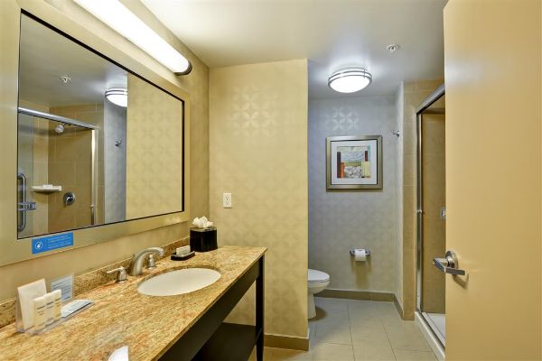 Hampton Inn & Suites Tampa Northwest/oldsmar - Odessa