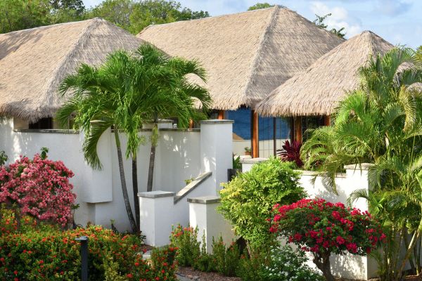Paradise Beach Nevis - Saint Kitts og Nevis