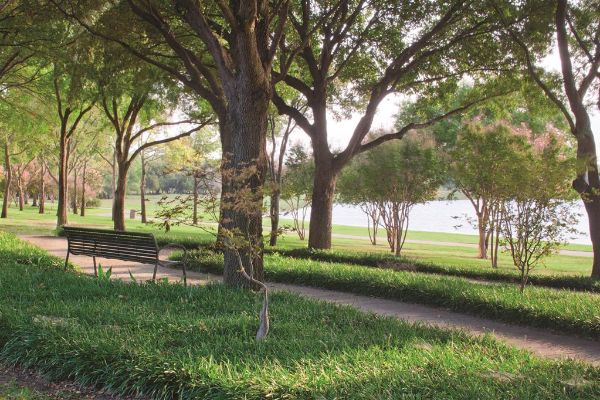 Doubletree By Hilton Dallas - Farmers Branch - Farmers Branch, TX