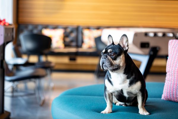 Moxy Aberdeen Airport - Aberdeen