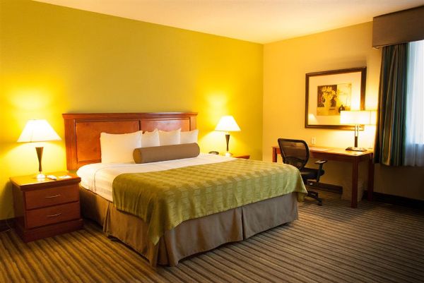 Best Western Plus Miami-doral/dolphin Mall - Doral, FL