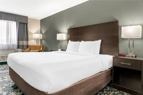 Quality Inn Grand Rapids South-byron Center - Grandville, MI