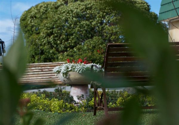 Surestay Hotel By Best Western The Clarence On Melville - Albany