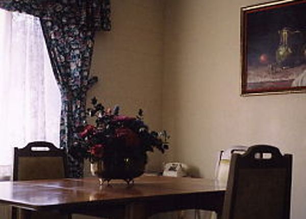 Sierra shop lodge chair
